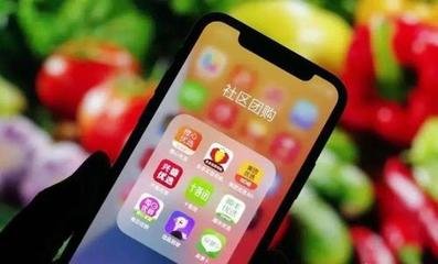 內(nèi)蒙古全民拼購(gòu)模式的專業(yè)解析