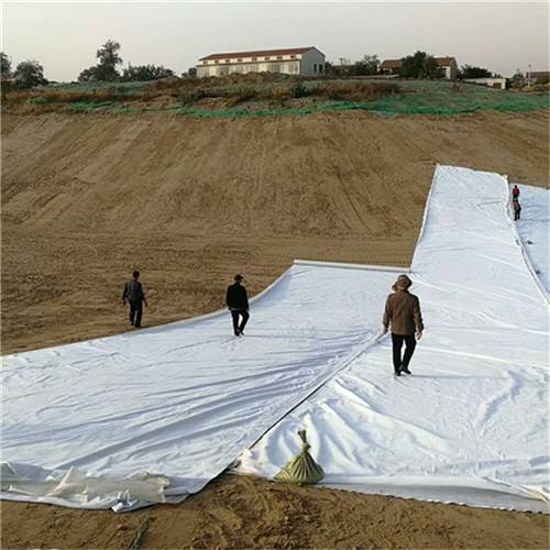 土工膜施工